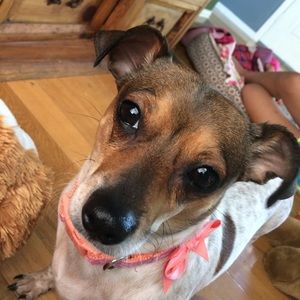 Meet your Posher, Evelyn